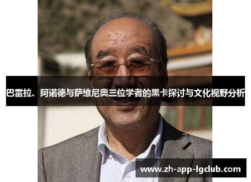 巴雷拉、阿诺德与萨维尼奥三位学者的黑卡探讨与文化视野分析