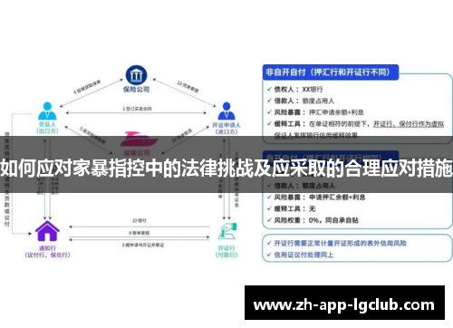如何应对家暴指控中的法律挑战及应采取的合理应对措施