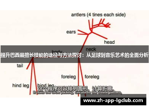 提升巴西最擅长技能的途径与方法探讨：从足球到音乐艺术的全面分析