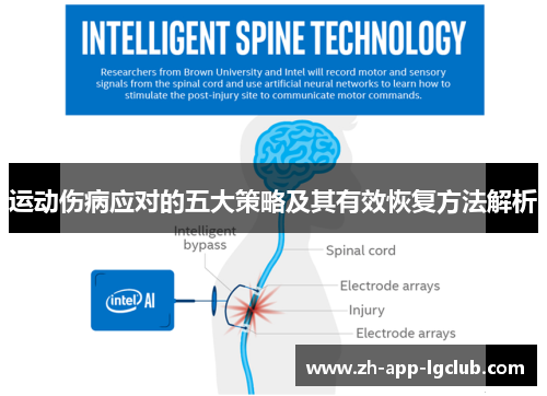 运动伤病应对的五大策略及其有效恢复方法解析