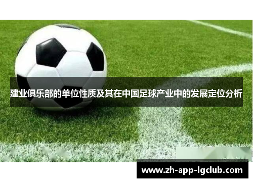 建业俱乐部的单位性质及其在中国足球产业中的发展定位分析