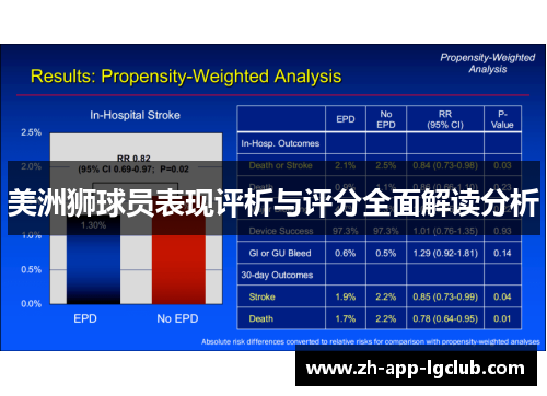 美洲狮球员表现评析与评分全面解读分析