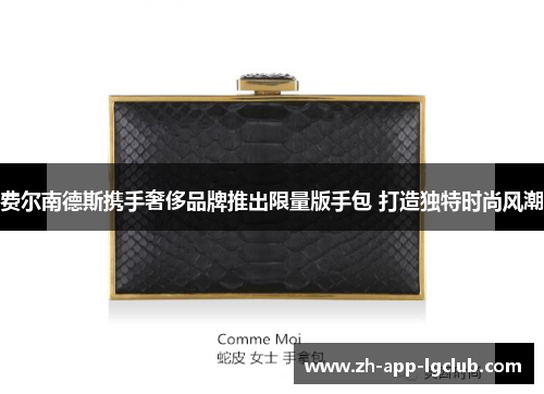 费尔南德斯携手奢侈品牌推出限量版手包 打造独特时尚风潮