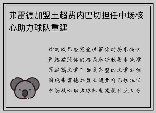 弗雷德加盟土超费内巴切担任中场核心助力球队重建